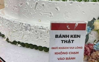 Ảnh vui 19-12: Trăm nghe không bằng một chạm