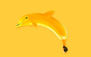 Quiz: Trong mắt mọi người, bạn có phải là người lạnh lùng?
