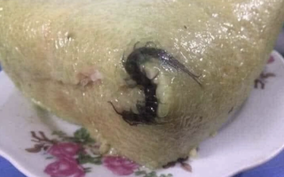 Muôn kiểu 'sự cố' gọi tên ẩm thực Tết