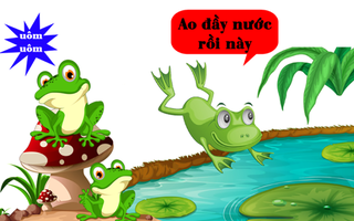 Câu tục ngữ, thành ngữ 'khó nhằn' này là gì? (P60)