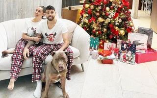 Thủ môn Arsenal nuôi chó Bully 'sát thủ’ phòng trộm cướp