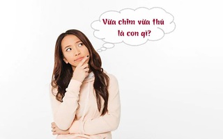 Câu đố hack não: Vừa chim vừa thú là con gì?