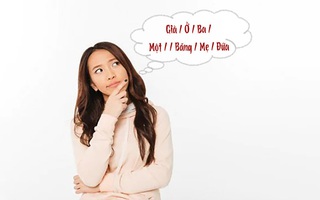 Thử tài tiếng Việt: Sắp xếp các từ sau thành câu có nghĩa (P20)