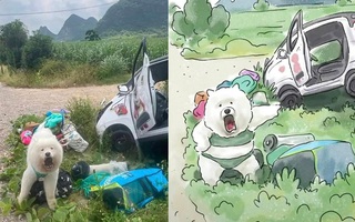 Ảnh vui 14-4: 'Hồi xưa lấy bằng lái kiểu gì vậy?'
