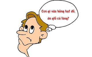 Câu đố hack não: Con gì vừa bằng hạt đỗ, ăn giỗ cả làng?