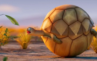 Chú rùa với ‘tâm bất biến’ trong phim hoạt hình mới