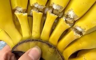 Ảnh vui 29-5: Mới cầm lên hỏi 'bao nhiêu' thì đã phải thanh toán
