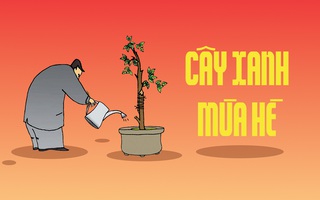 Lãnh trọn 'cực tím thần chưởng' vì cây xanh không lớn kịp