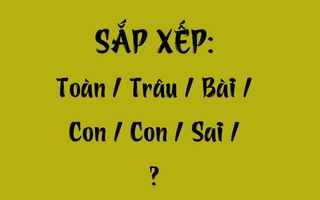 Thử tài tiếng Việt: Sắp xếp các từ sau thành câu có nghĩa (P89)