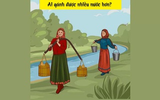 Câu đố IQ: Ai là người phụ nữ gánh được nhiều nước hơn?