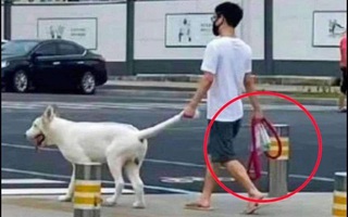 Ảnh vui 15-9: Nắm tay nhau thật chặt, giữ tay nhau thật lâu...