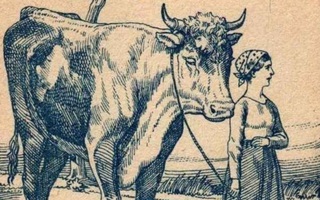 Thử tài tinh mắt: Tìm 2 khuôn mặt ẩn giấu trong hình