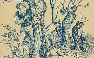 Thử tài tinh mắt: Tìm 2 khuôn mặt ẩn giấu trong hình