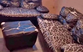 Ảnh vui 9-9: Khuyến mãi bộ sofa họa tiết da beo