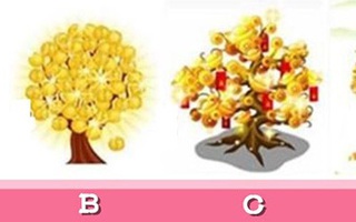 Quiz: Cây tiền vàng tiết lộ điểm mạnh của bạn