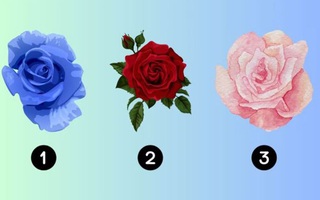 Quiz: Ai sẽ là người bạn đời lý tưởng của bạn?
