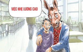 Việc nhẹ lương cao chỉ có trong vũ trụ loài lừa