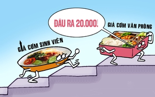 Cơm sinh viên 20.000 đồng đã 'tuyệt chủng'?