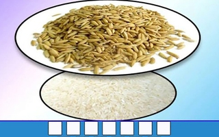 Thử tài nhanh trí với đuổi hình bắt chữ (P132)