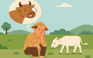 Câu thành ngữ quen thuộc này là gì? (P9)