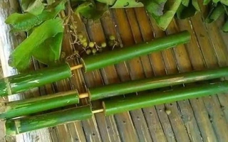 Ảnh vui 25-4: Phải có 'tuổi thơ dữ dội' lắm mới biết đây là cái gì