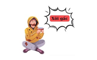 Thành ngữ phê phán người sống không biết thân biết phận này là gì?
