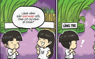 Câu chuyện sáp nhập Làng Tre - Làng Mía