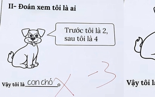 Ảnh vui 18-5: 'Trước tôi là 2, sau tôi là 4, đoán xem tôi là ai?'