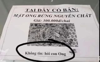 Ảnh vui 21-5: Mật ong rừng nguyên chất - Không tin 'hỏi... con ong'