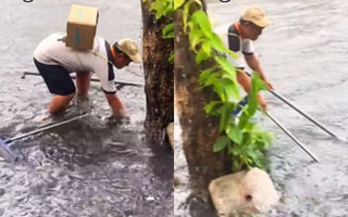 Thanh niên lên thành phố vẫn 'nhớ nghề' ở quê