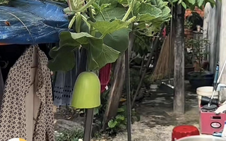 Ảnh vui 28-5: Khi ngoại kêu cắt nửa trái bầu để nấu canh...