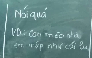 Ảnh vui 11-6: Dùng biện pháp nói quá để tả con mèo