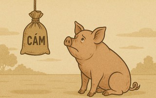 Câu thành ngữ quen thuộc này là gì? (P40)