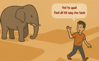 Đây là câu tục ngữ gì? (P23)