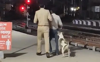 Ấn Độ: Thanh niên xui xẻo, đã bị cảnh sát bắt lại còn bị... chó cắn