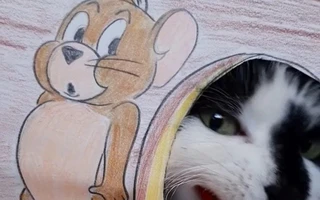 Ảnh vui 17-7: 'Đủ wow rồi đó'