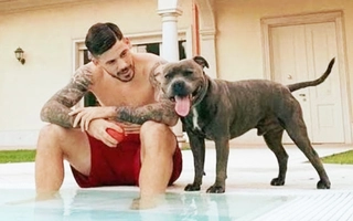 Đồng đội Messi ở Barca bị chó cắn vào vùng kín phải nhập viện khẩn cấp