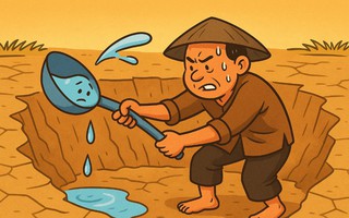 Câu thành ngữ nói về sự nỗ lực cố gắng này là gì?