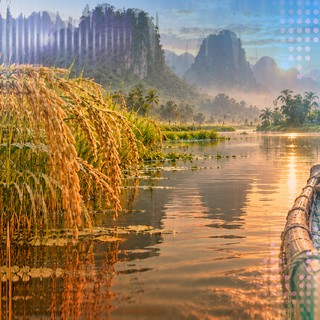 Nhạc quê hương