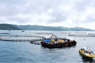 Bộ trưởng Trần Đức Thắng cùng hiệp hội bàn hướng phát triển nuôi biển công nghiệp, bền vững