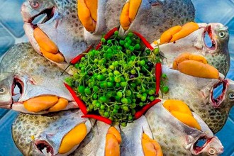 Con cá nâu xuất hiện ở vùng đất Cà Mau tự bao giờ mà thành đặc sản