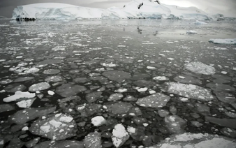 Antarctic sea ice hits its third-lowest winter peak on record
