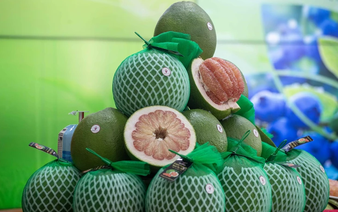 Vietnamese pomelos officially enter Australian market, Australian blueberries exported to Vietnam