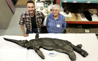 New species of Jurassic 'sword dragon' found in UK