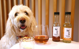 Purrno Noir? New Zealand company sells non-alcoholic wine for pets