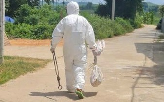 New rabies outbreak detected in Vietnam’s Quang Ngai