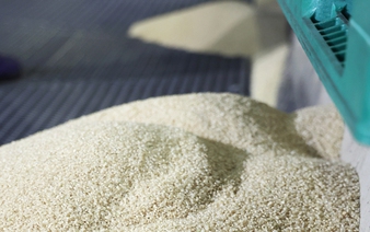 Japan to resume rice purchases for stockpiling