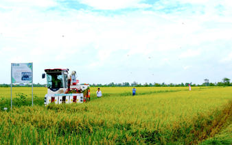 Vietnam to pilot 15 low-emission farming models with carbon credit potential