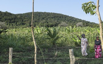 Global race for rare earths comes to Kenya's Mrima Hill