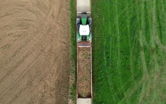 Record potato harvest is no boon in fries-mad Belgium